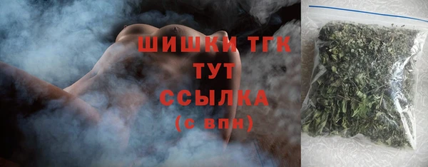 ECSTASY Сосновка