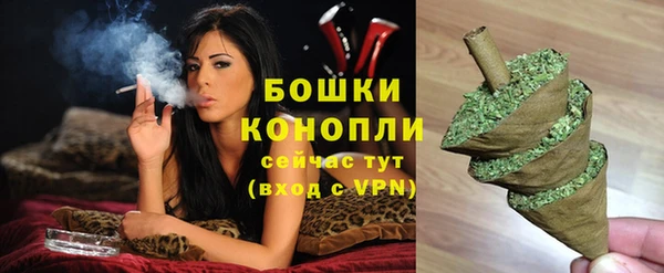 амф Снежинск