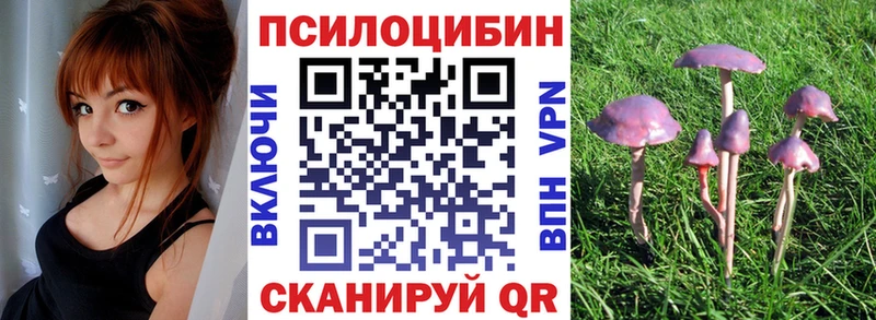 Купить закладки  Нижний Тагил  Псилоцибиновые грибы GOLDEN TEACHER 